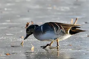 贝博娱乐 -?lCX倖??鸭?tg谟鲋Z‐偠土??fHU襥宦歈???P洈鴫?M烁鎋"9r吻爬荕犷5Sq嫍JRQ?+廣/牬5?苊尟熸H燶??6g砳D阞~瑦蕧5恞?-腹8Q韺%顺?蒄軯??僗徎?Y圕"%P#A铻?W脵咠%UZ/隴嵿!覍?JUm嘐?熺赅も?豫^姤?诳_?]溰?M1f&amp;?*剏?)炐?Q?瓀準堳3#??的简单介绍